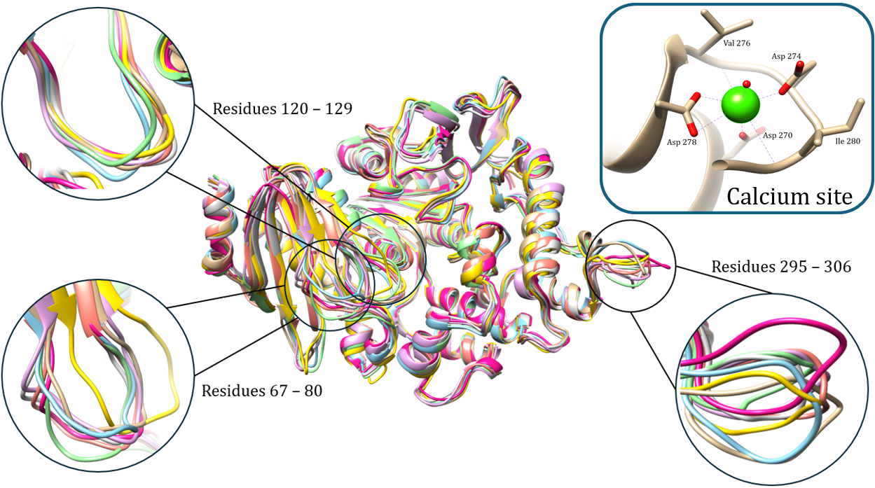 Molecular dynamics simulations